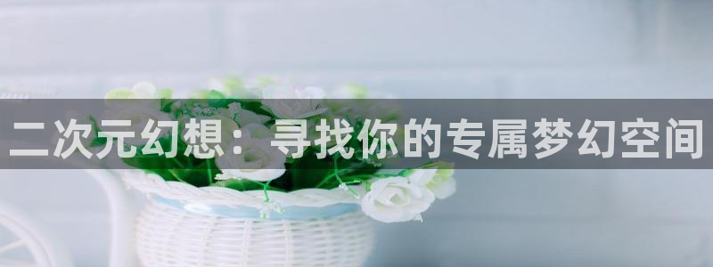 zzzfun动漫动画：二次元幻想：寻找你的专属梦幻空间