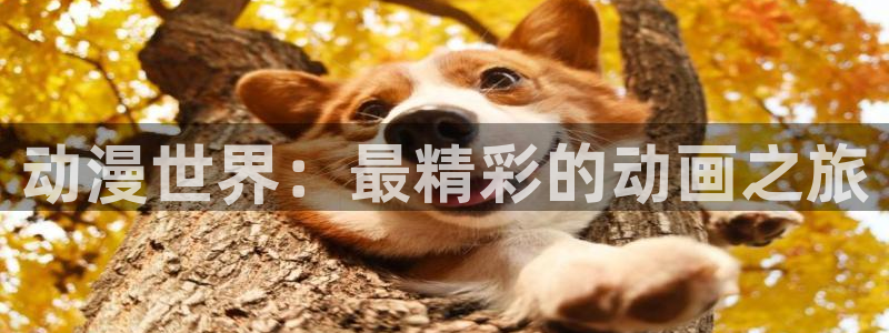 omofun动漫：动漫世界：最精彩的动画之旅